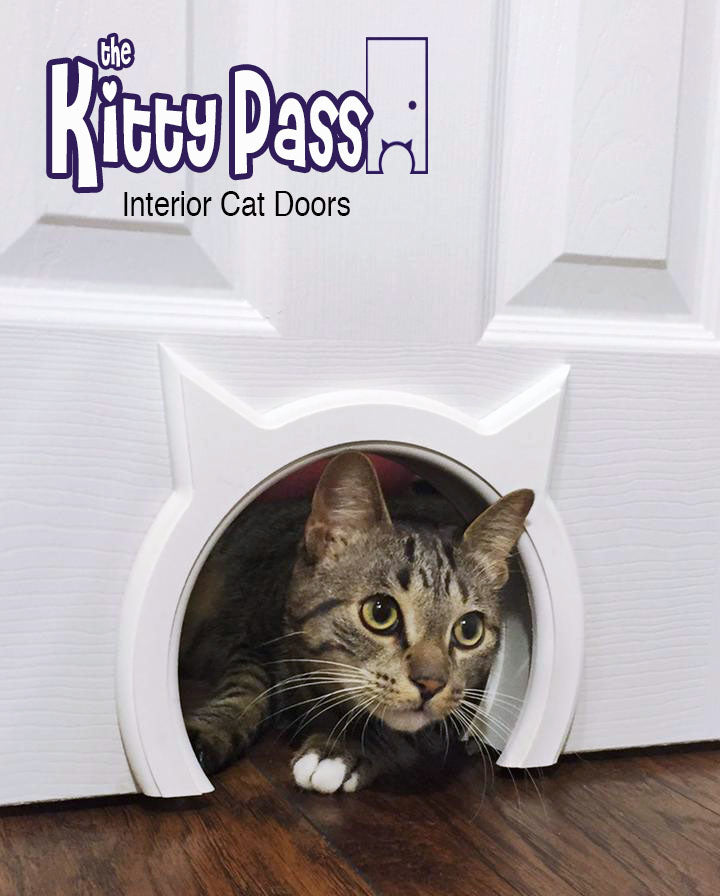 Cat door deals