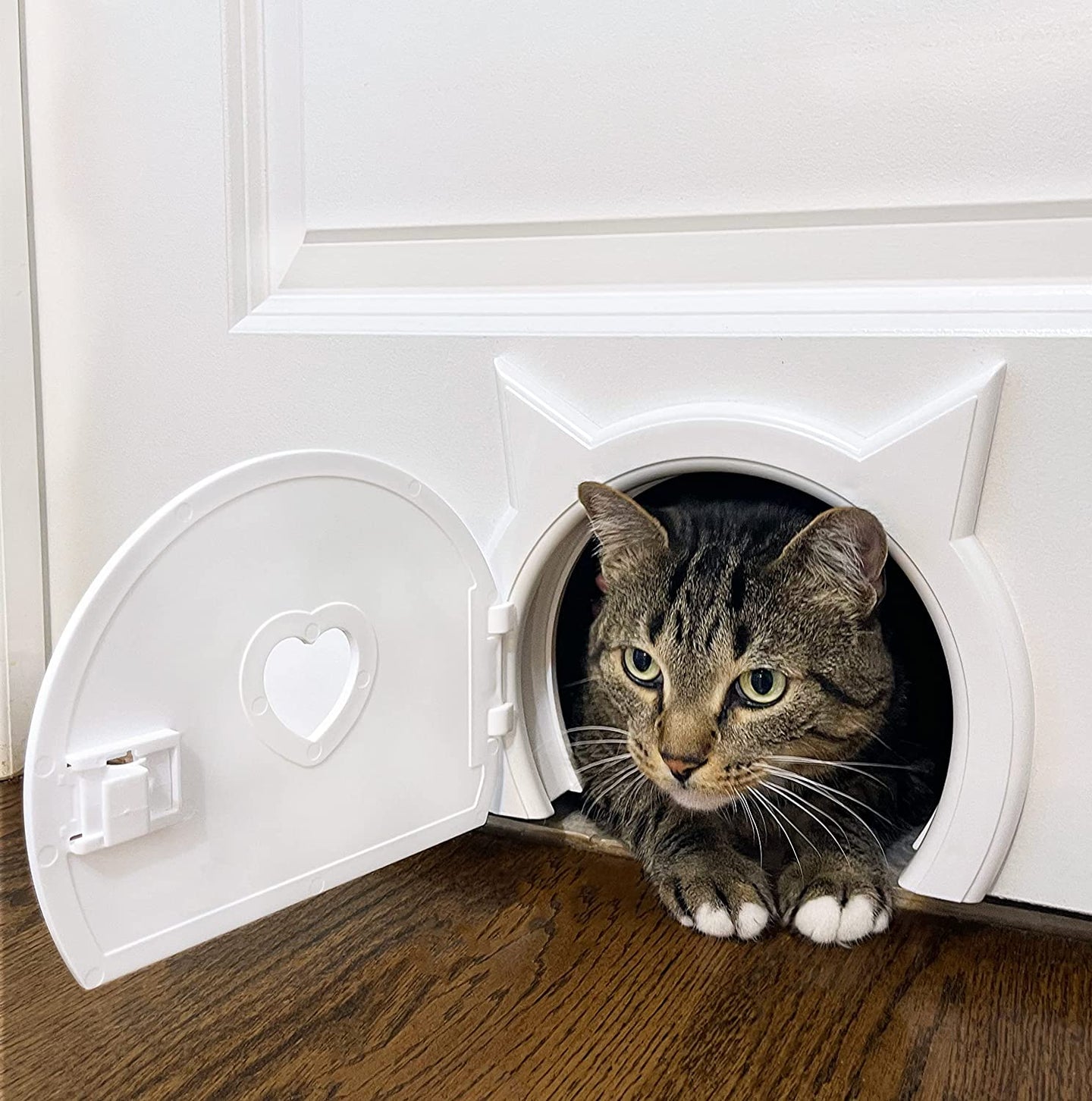 The Kitty Pass cat Door ADD ON Privacy Door