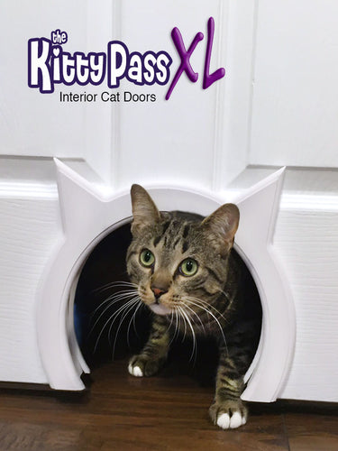 The Kitty Pass XL Interior Cat Door
