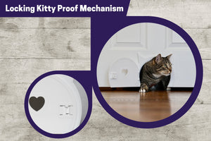The Kitty PassXL cat Door ADD ON XL Privacy Door
